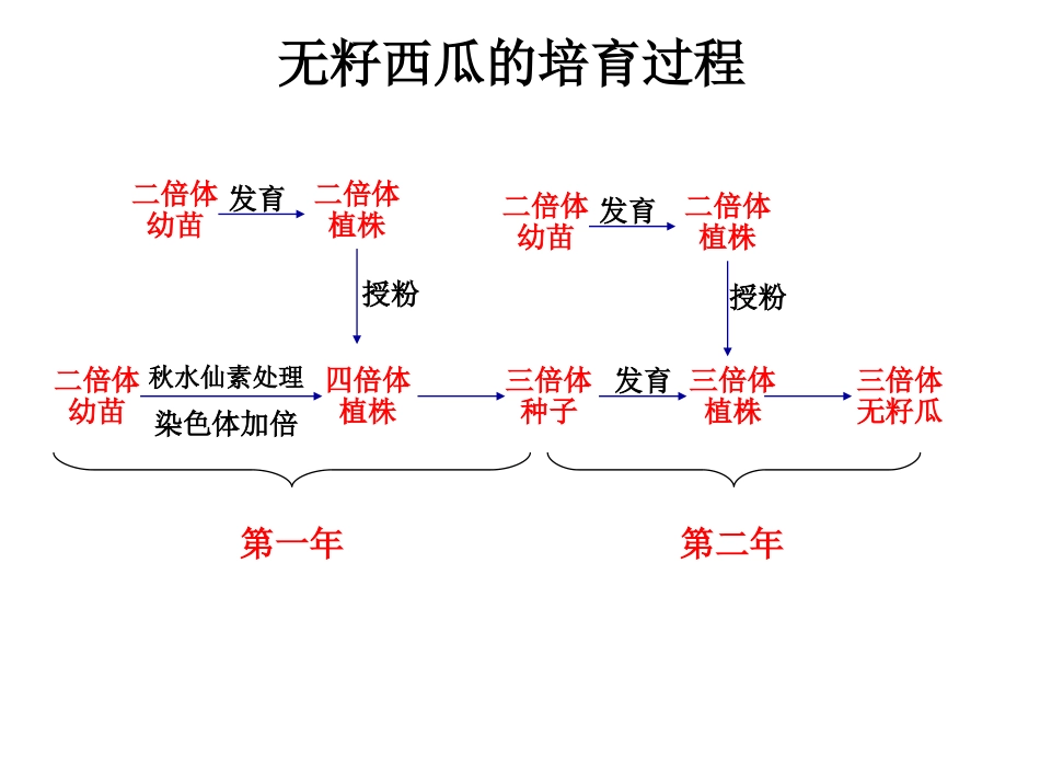 高中生物遗传病_第2页