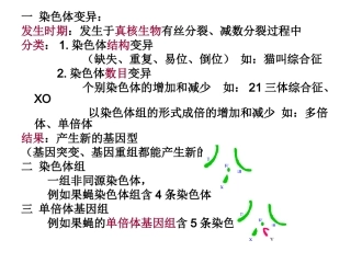 高中生物遗传病