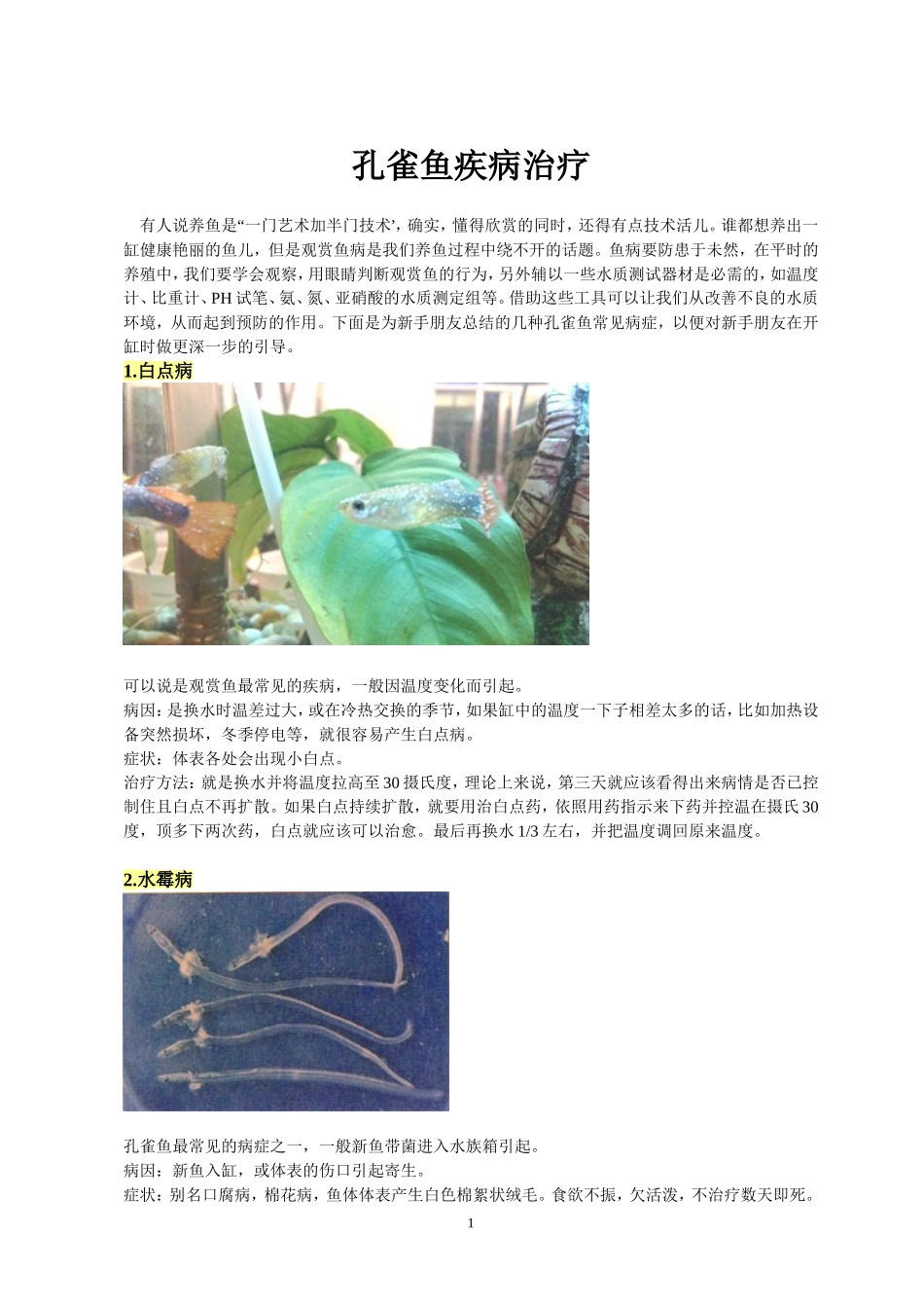 孔雀鱼疾病治疗_第1页