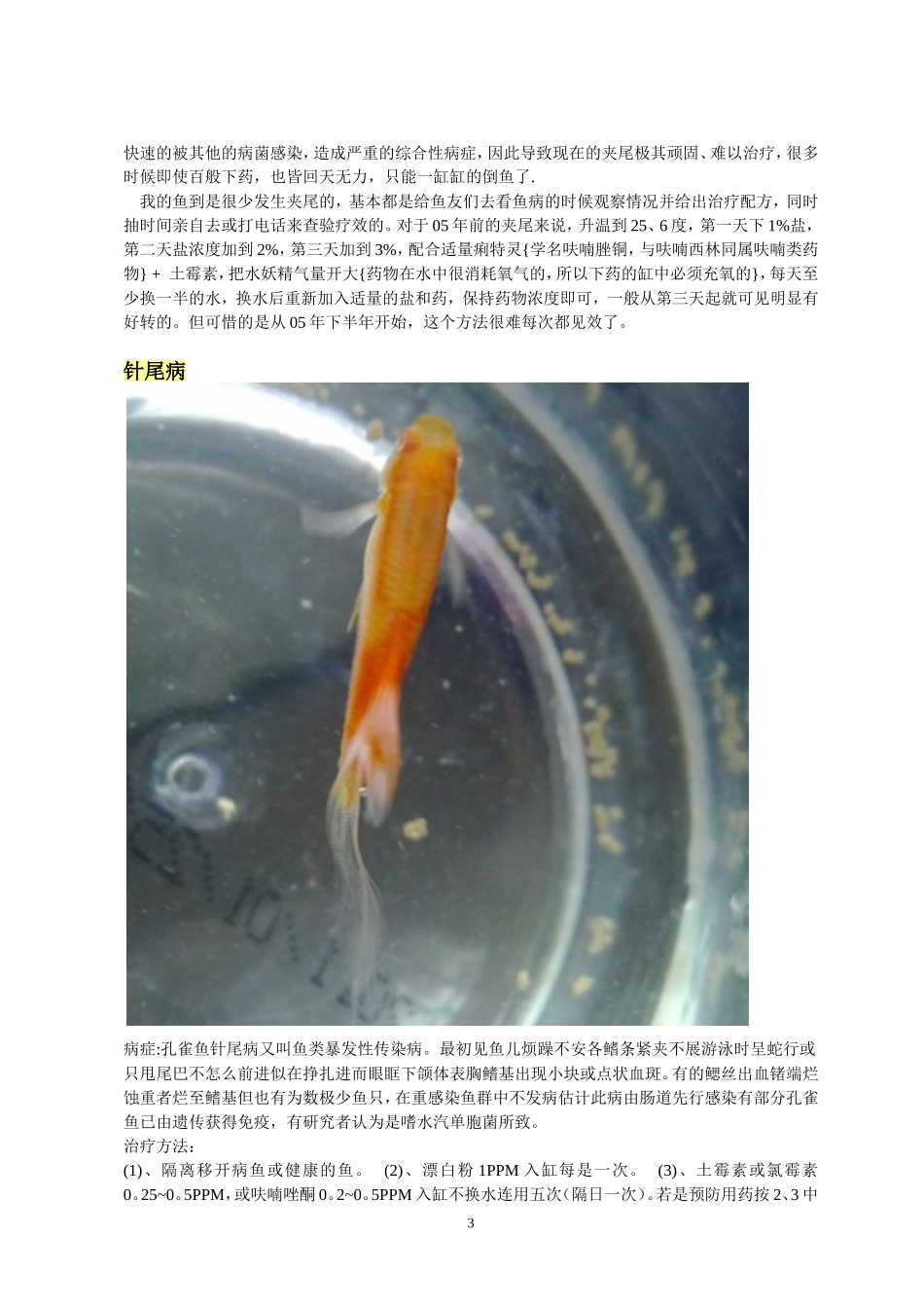 孔雀鱼疾病治疗_第3页