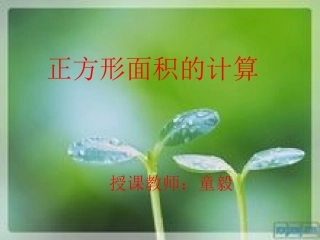 正方形的面积