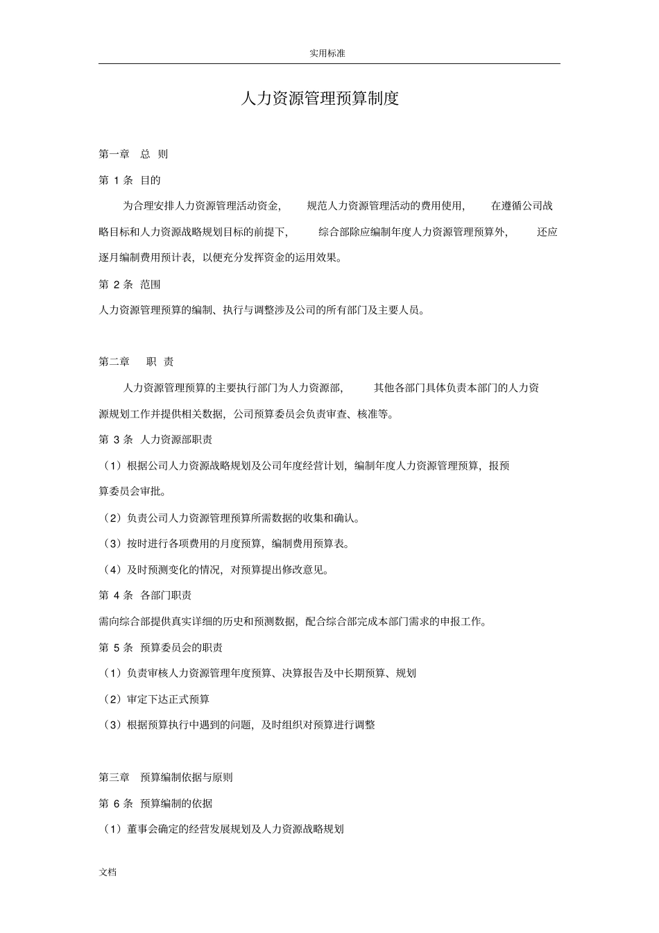 人力资源管理系统的预算规章制度_第1页