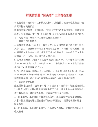 村脱贫质量“回头看”工作情况汇报 