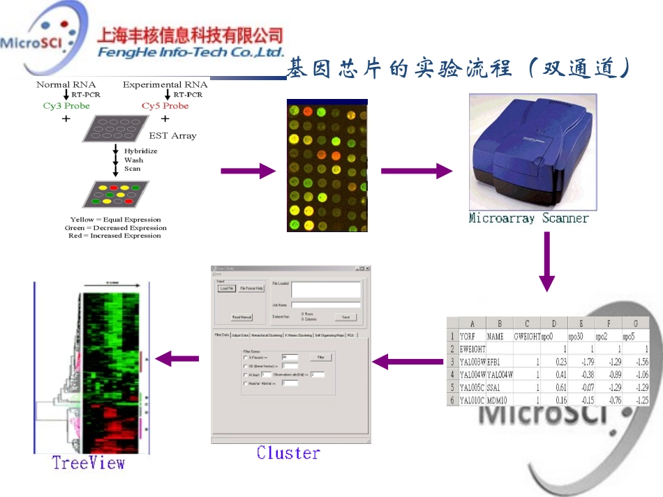 芯片数据预处理方法-_第3页