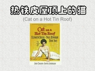 热铁皮屋顶上的猫