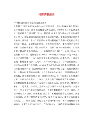 村情调研报告 