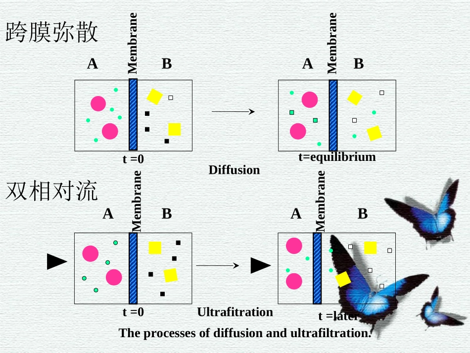 透析膜与透析器_第2页