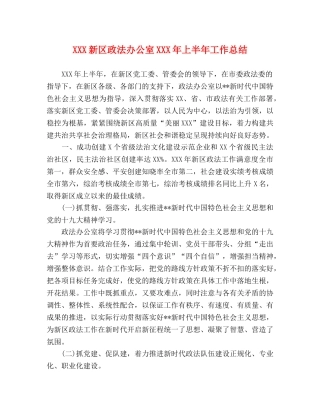 XXX新区政法办公室XXX年上半年工作总结 