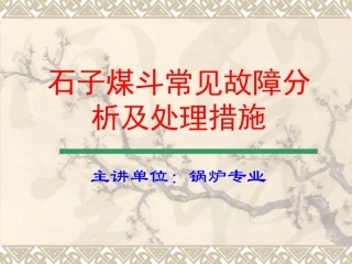 石子煤斗常见故障及处理措施