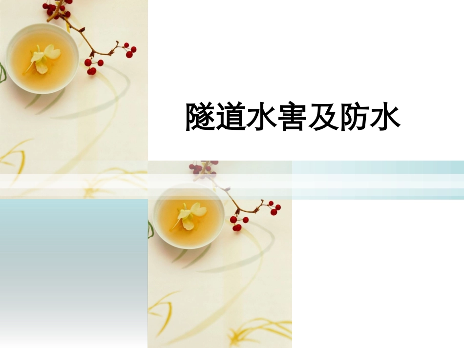 隧道水害及防水_第1页