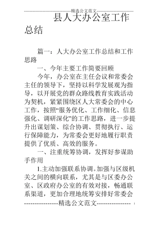 人大办公室工作总结