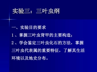 古生物学与地史学总复习