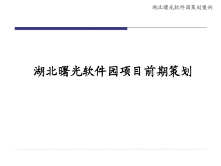 曙光软件园项目前期策划