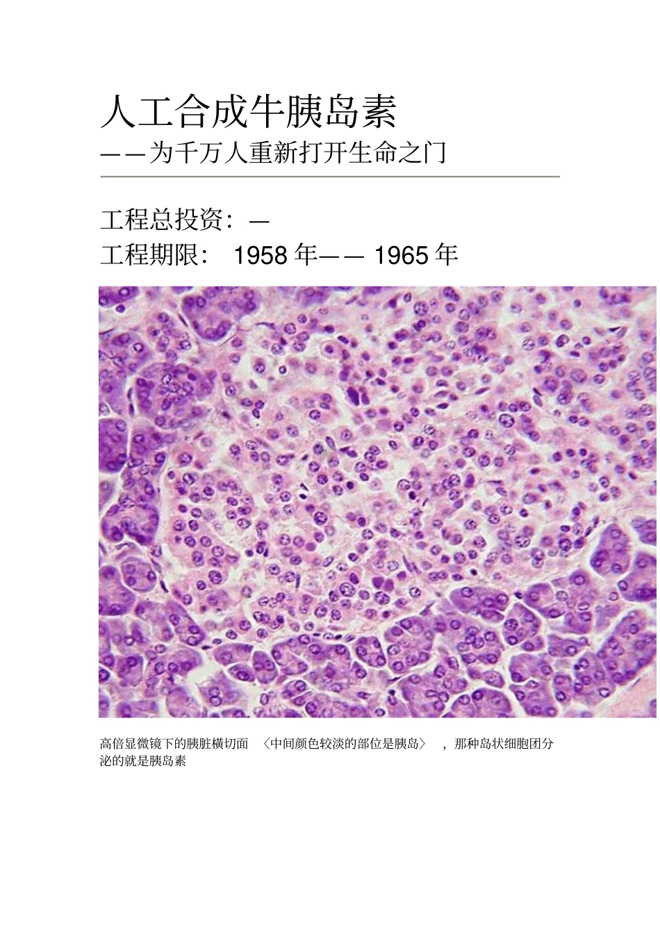 人工合成牛胰岛素解析_第1页