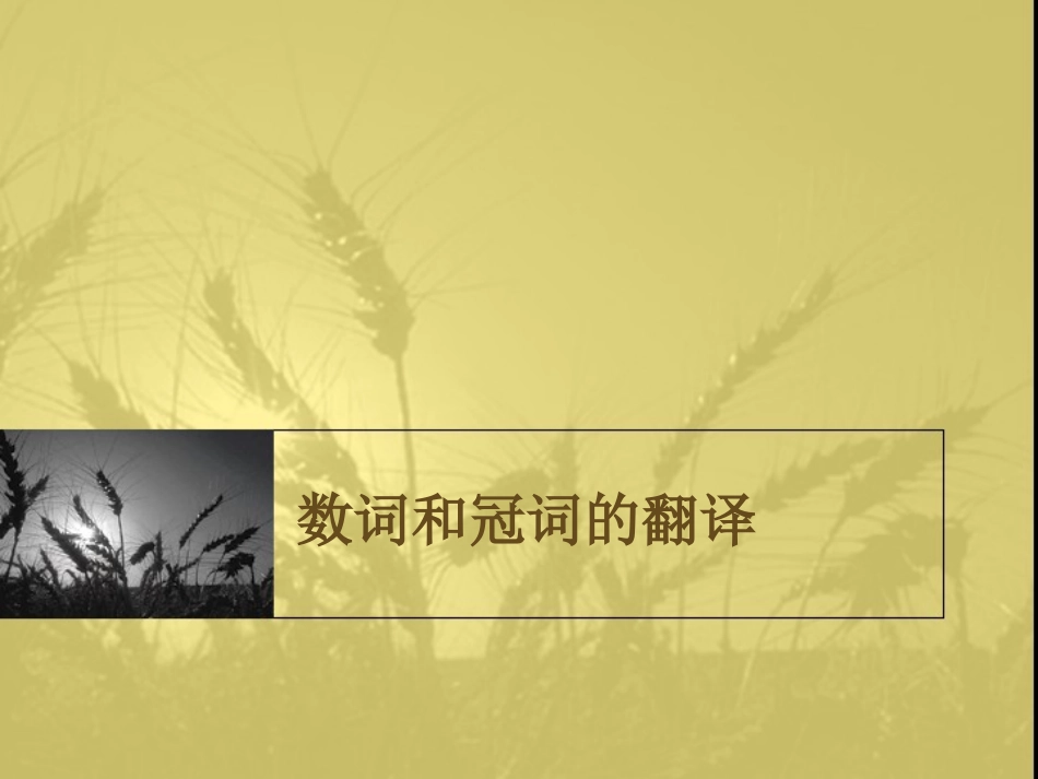 数词和冠词的翻译_第1页