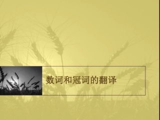 数词和冠词的翻译