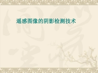 遥感图像的阴影检测技术