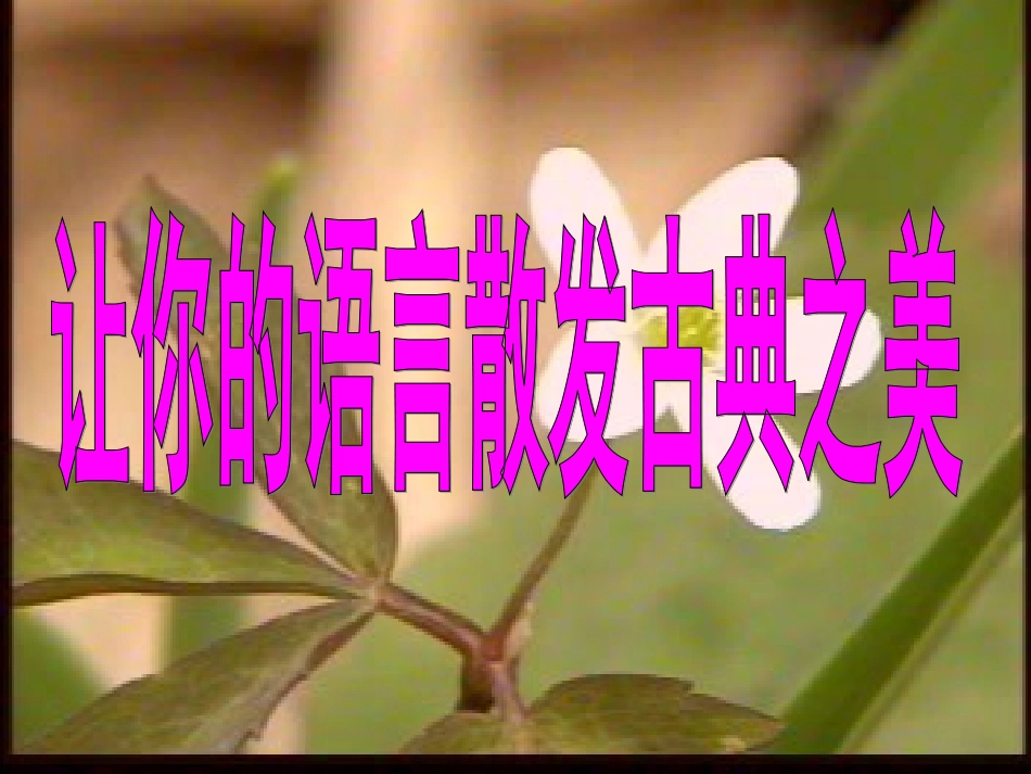 作文语言锤炼之——典雅之美_第1页