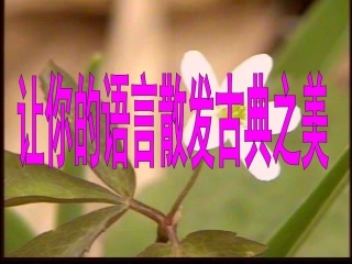 作文语言锤炼之——典雅之美