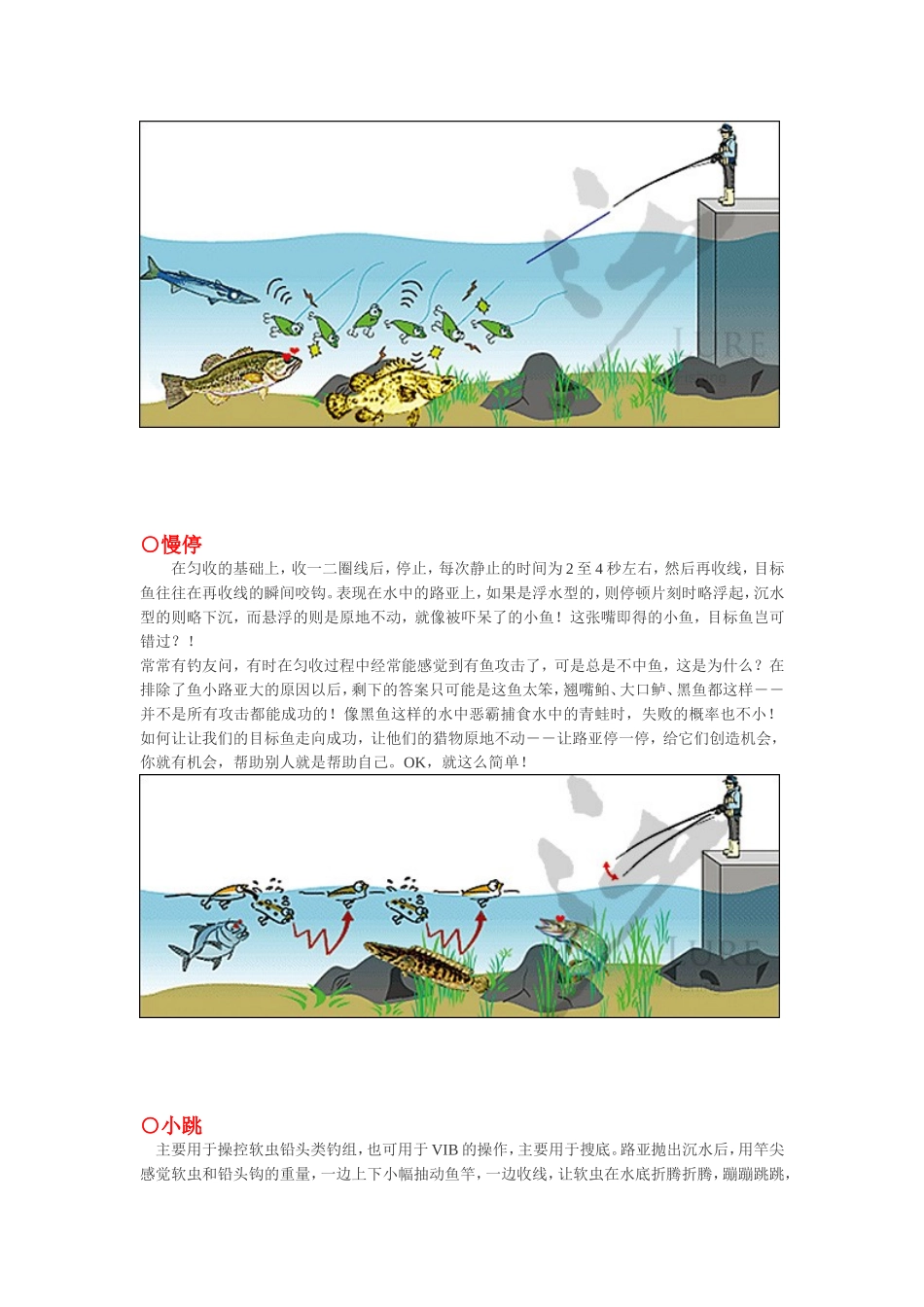 让路亚活起来_第2页