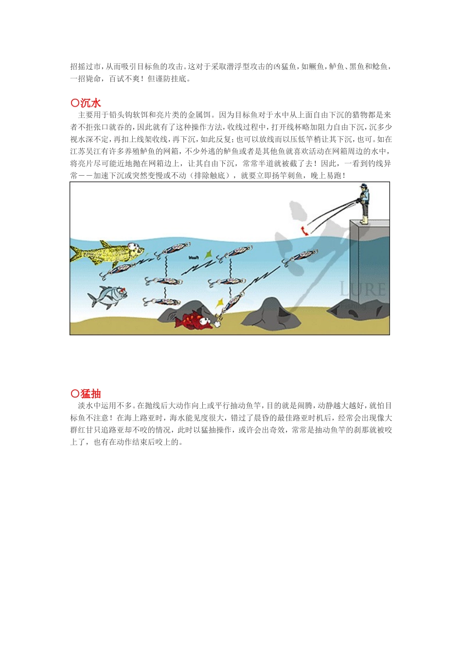 让路亚活起来_第3页