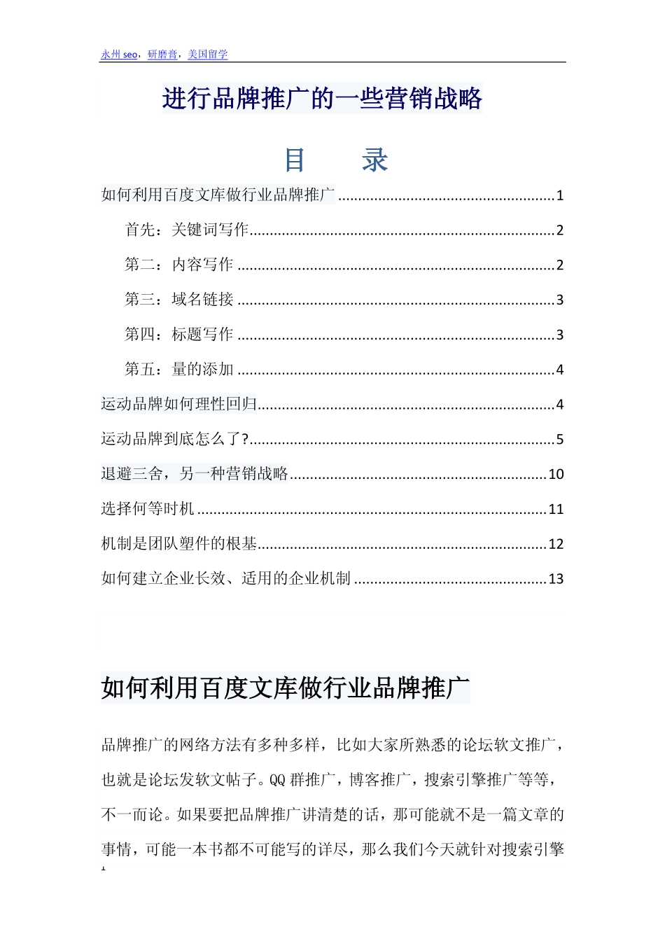 进行品牌推广的一些营销战略_第1页