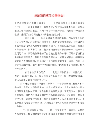 出纳顶岗实习心得体会- 
