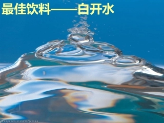 最佳饮料白开水 演示文稿