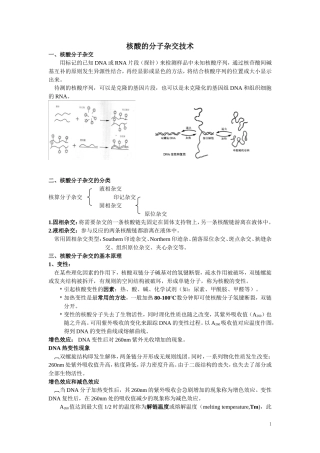 核酸分子杂交及PCR技术