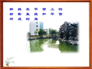 直线在平面上的射影,直线和平面所成的角