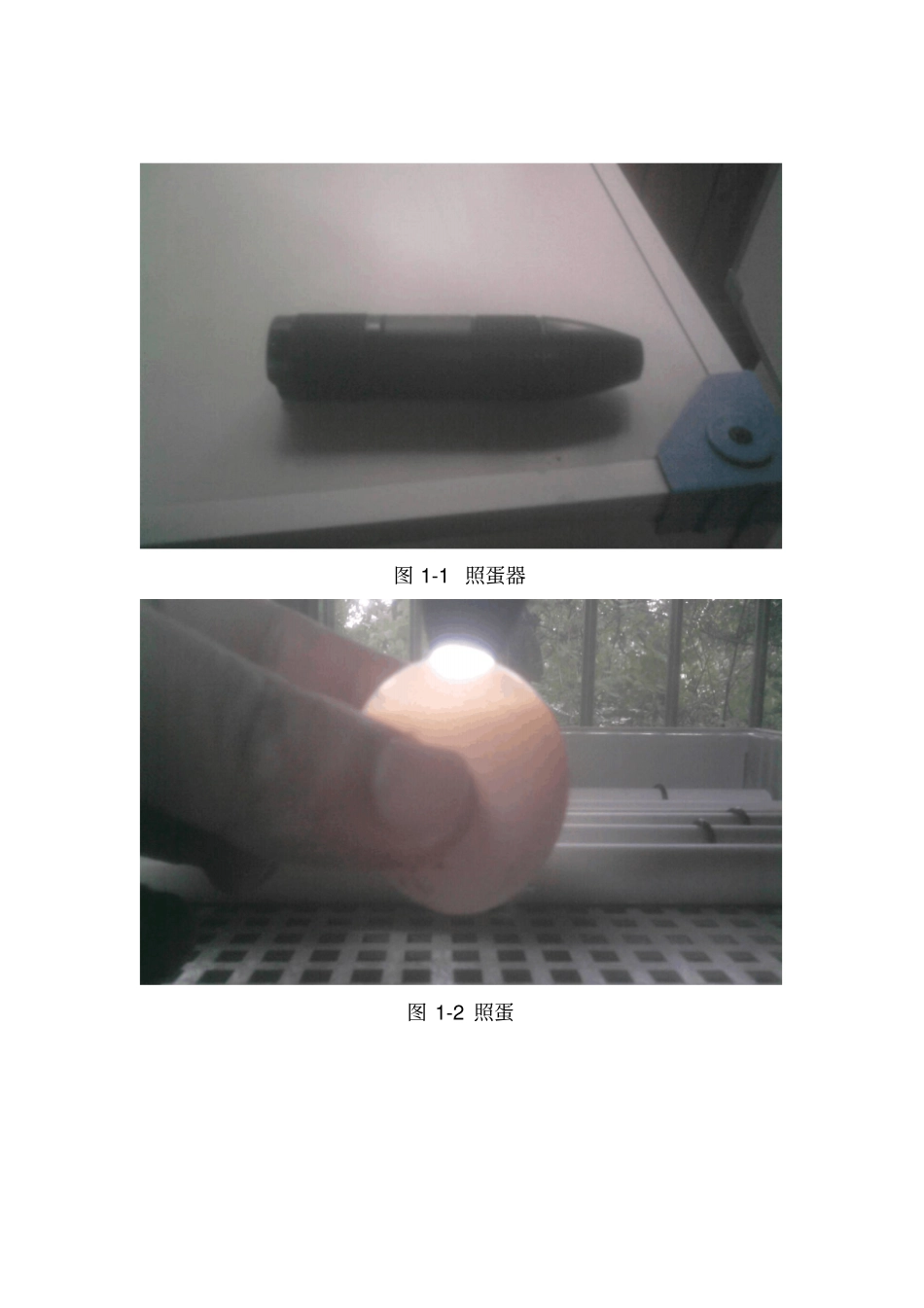 人工育雏流程简体中文资料_第2页
