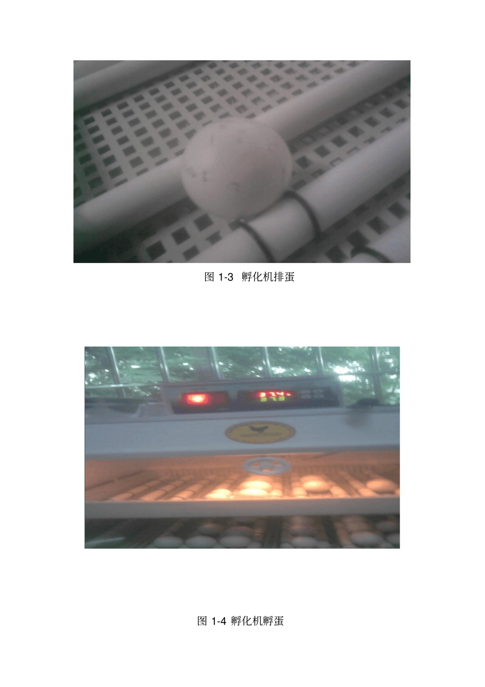 人工育雏流程简体中文资料_第3页