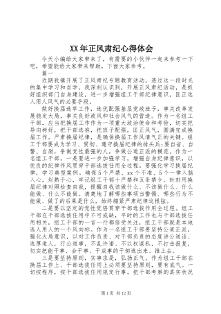 XX年正风肃纪心得体会