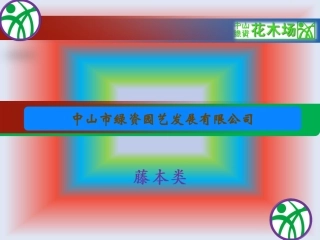 园林绿化,广东花木,花卉之飘香滕,葡萄,三星果滕,使君子介绍