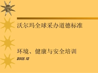 沃尔玛全球采办道德标准