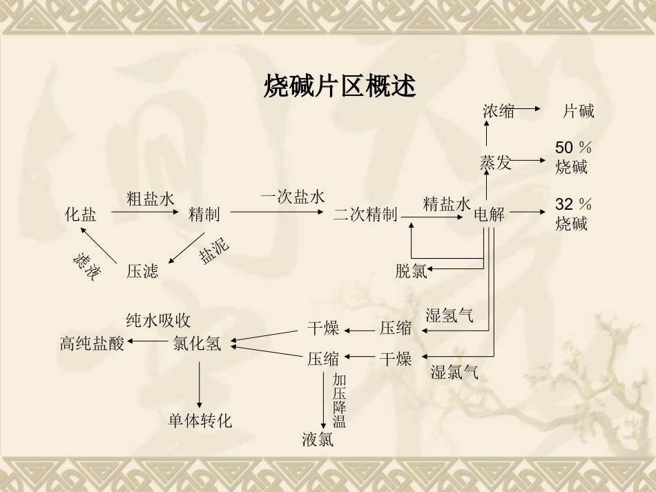 二次盐水及电解_第2页