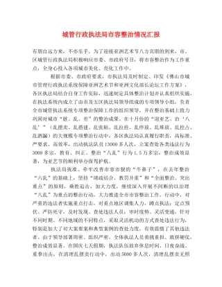 城管行政执法局市容整治情况汇报 