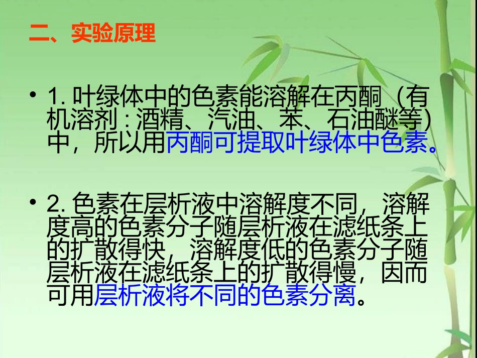 叶绿素的提取_第3页