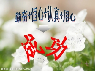 勤奋+恒心+认真+用心=成功