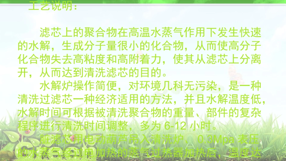 水解炉 碱洗炉 原理_第2页