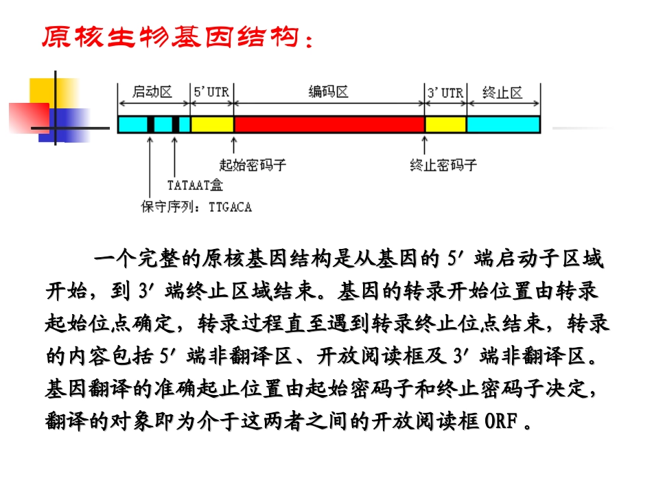 生物信息学 第5章 常用分析软件_第3页