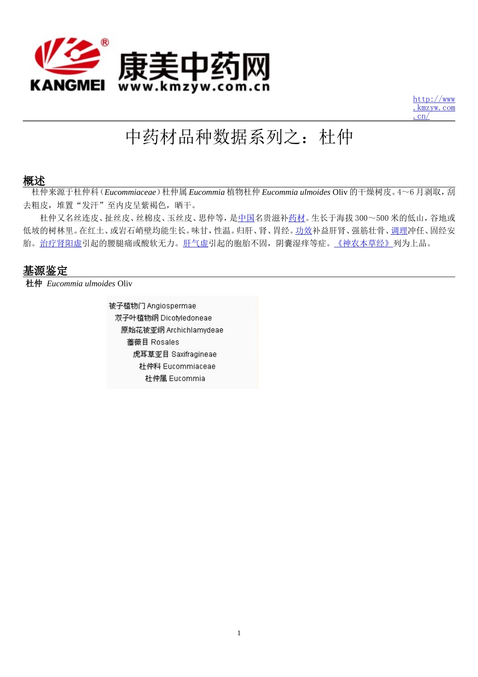 中药材品种数据系列之：杜仲_第1页