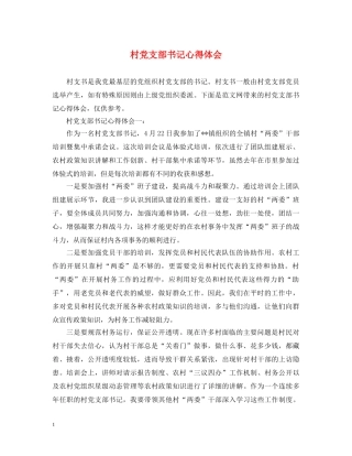 村党支部书记心得体会 