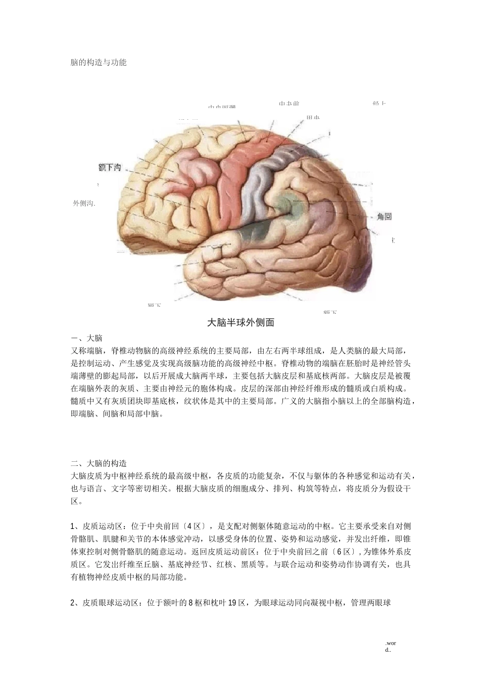 脑的结构及功能_第1页