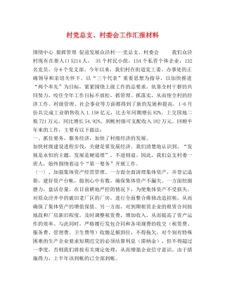 村党总支、村委会工作汇报材料 