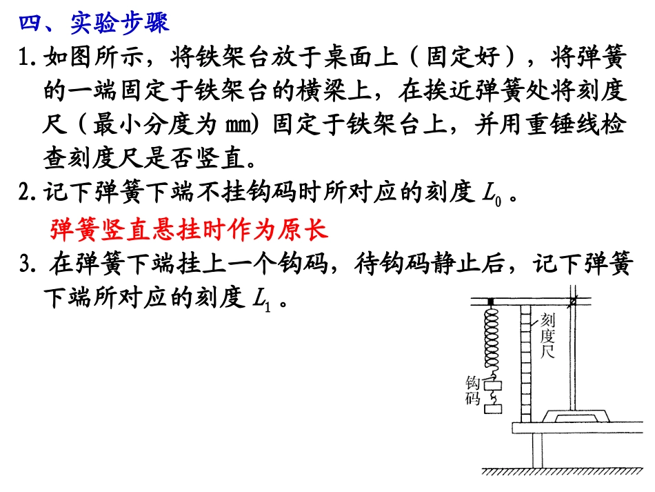 山东省冠县武训高级中学高三物理复习课件：探究弹簧的弹力和伸长的关系1_第3页