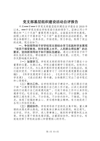 党支部基层组织建设活动自评报告
