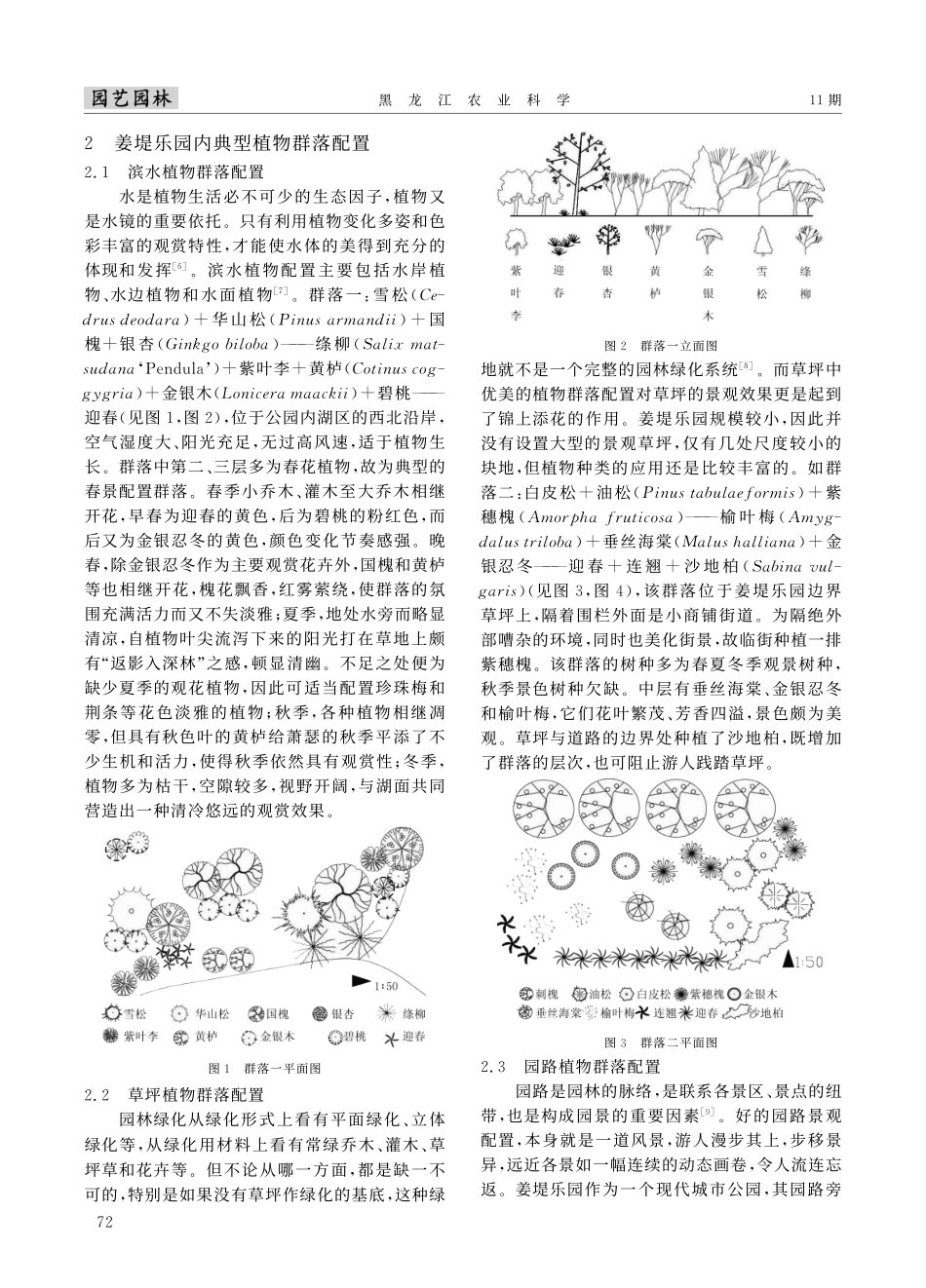 聊城市姜堤乐园植物配置景观分析_第2页