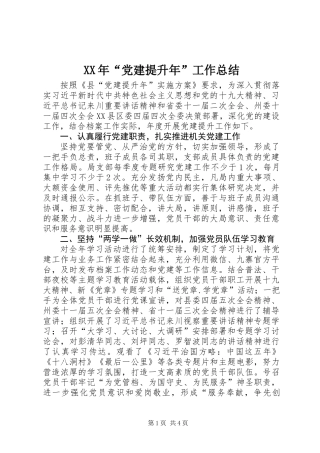 XX年“党建提升年”工作总结