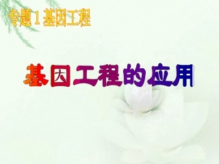 人教版教学课件湖南省安仁一中生物必修三《13基因工程的应用》课件